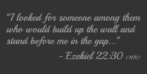 Ezekiel 22:30